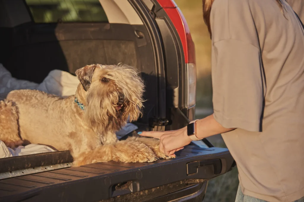 Soft Coated Wheaten Terriers Dog Car Seat for Toyota Highlander